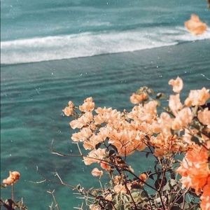 Meet your Posher, Kyleigh